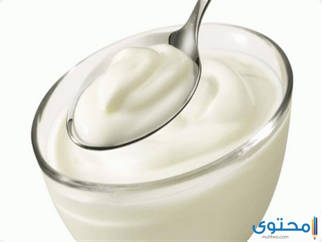 مشروع مصنع زبادي