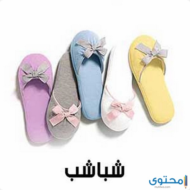 مشروع مصنع شباشب