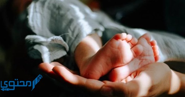 دعاء الحمل بعد الدورة الشهرية مستجاب