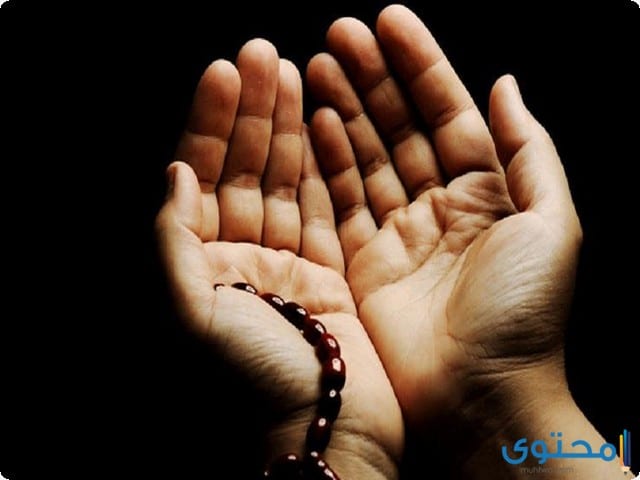 دعاء اللهم اهدنا فيمن هديت