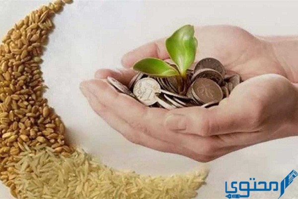 دفع زكاة الفطر في الكويت