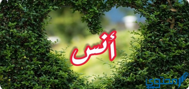 دلع اسم أنس