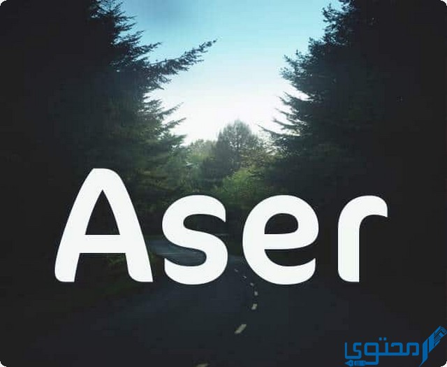 دلع اسم اسر