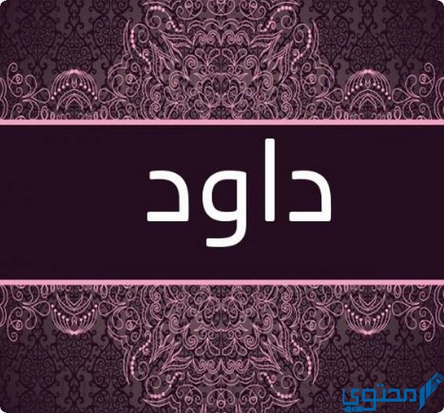 دلع اسم داود