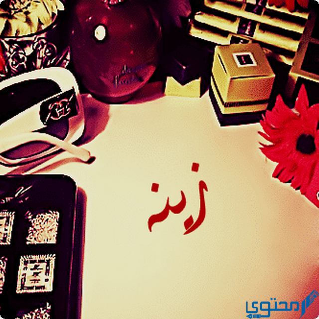 دلع اسم زينة