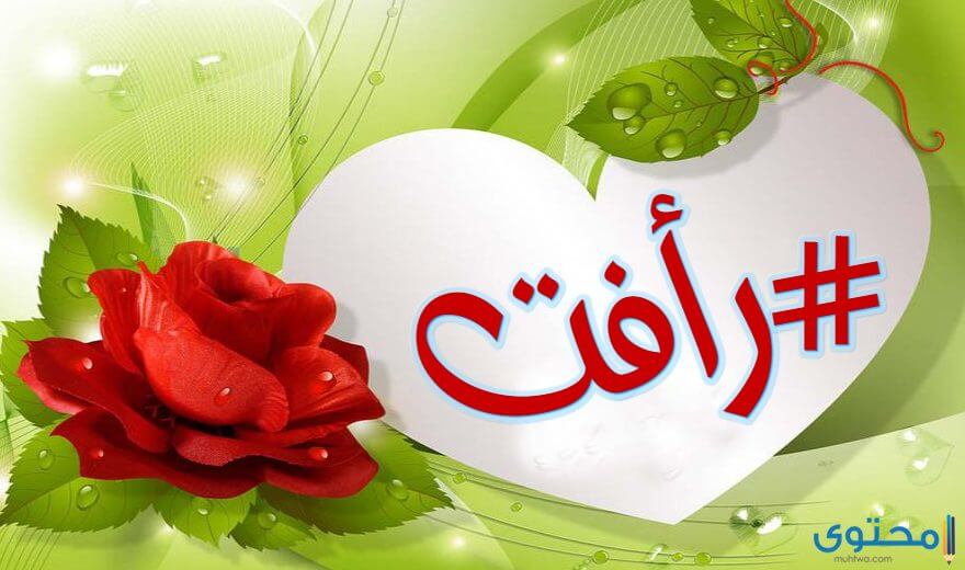اسم رأفت
