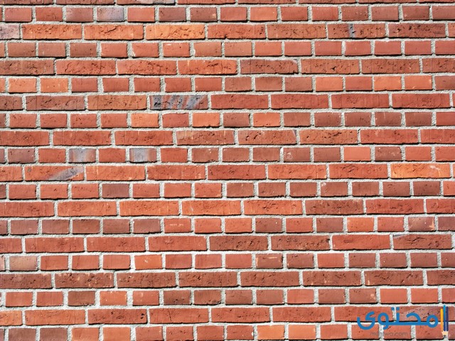 الطوب الأحمر في المنام