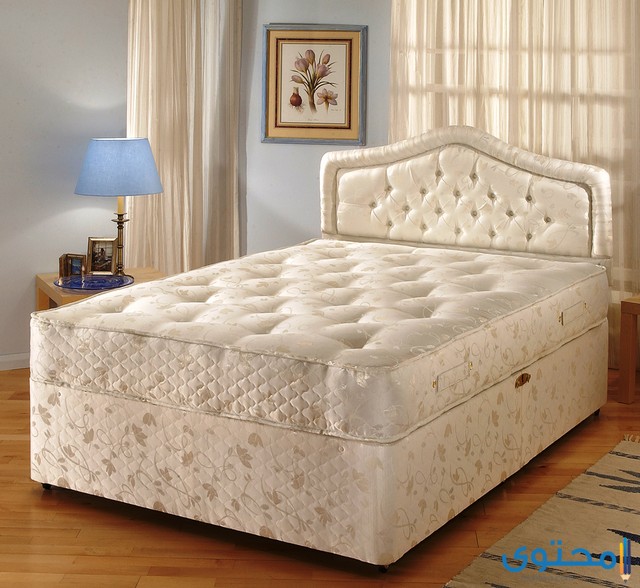 رؤية فراش الإسفنج