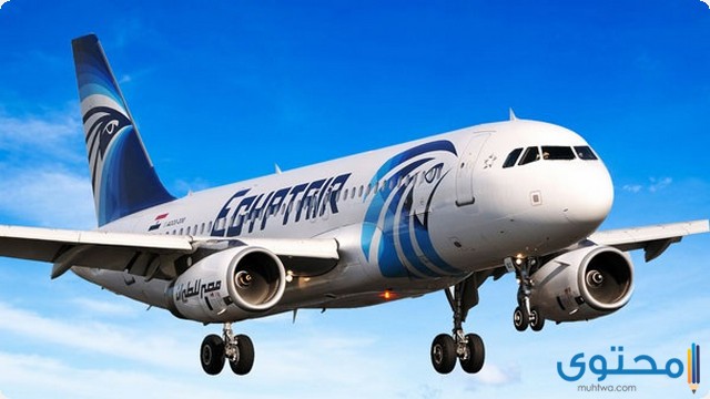 رحلة مصر للطيران