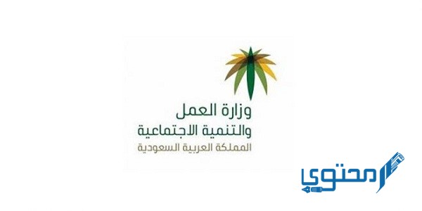 رسوم نقل الكفالة في النظام الجديد