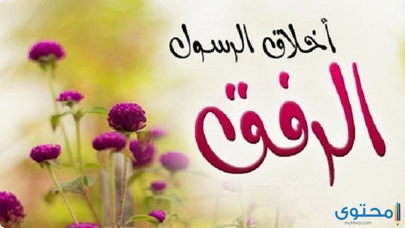 برنامج رفق