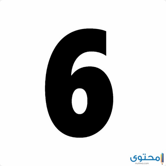 رقم 6 في المنام