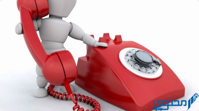 رقم المطافي الخط الساخن