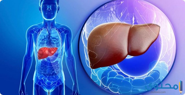 رولاكسامين