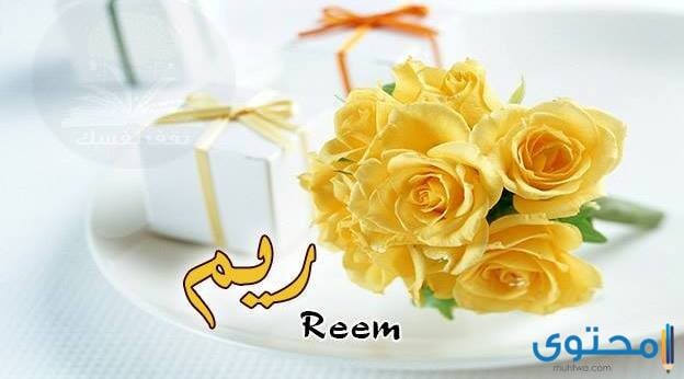 معنى اسم ريم