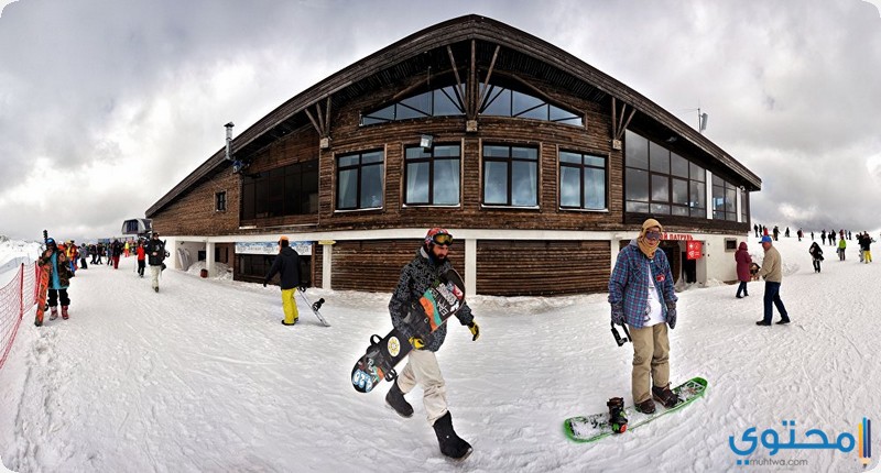 السياحة العلاجية في روسيا