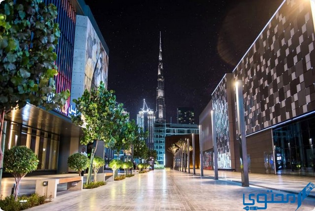 أهم 10 أنشطة في سيتي ووك دبي City Walk