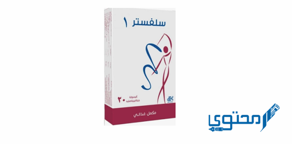 سيلفستر 1 (Sylvestre1)