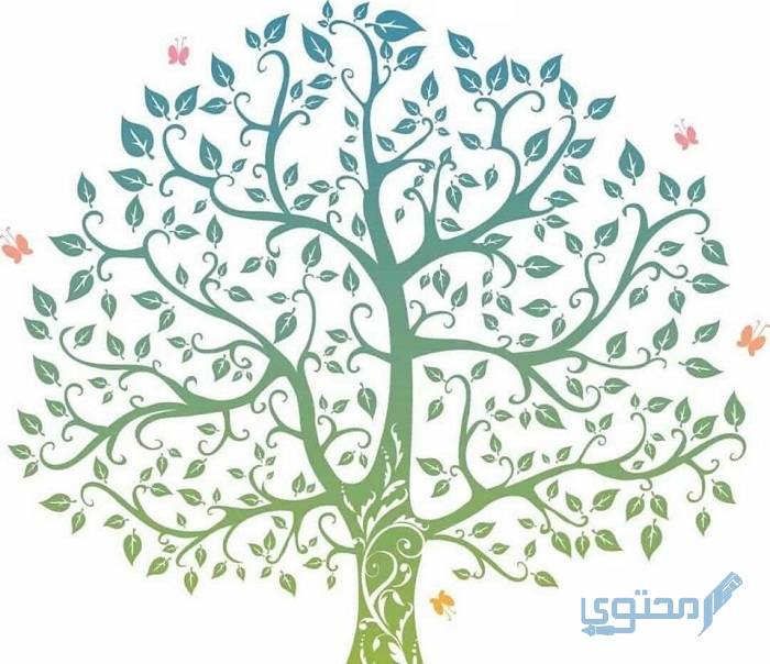 شجرة عائلة السادة الأشراف الكاملة