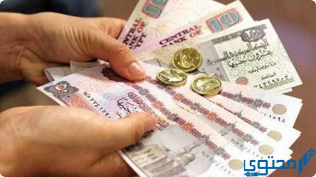 شروط المعاش المبكر للقطاع الخاص