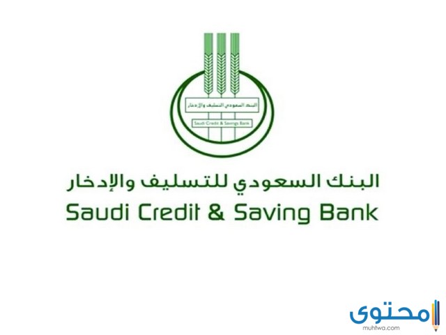 شروط تمويل الأسرة