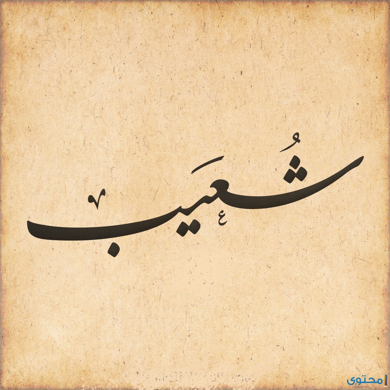 معنى اسم شعيب