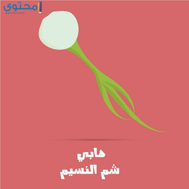 بوستات شم النسيم