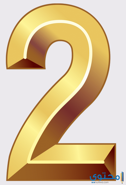 صفات وخصائص مسار الحياة رقم 2