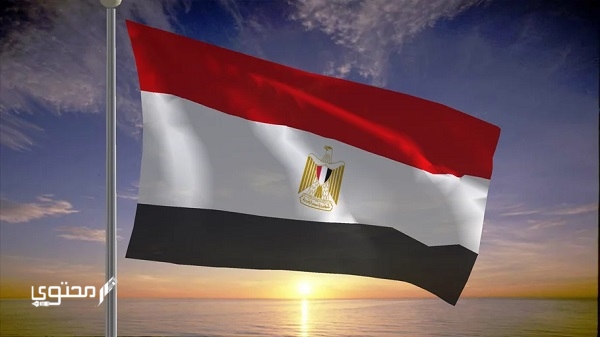 صور علم مصر 2025 للفيس بوك