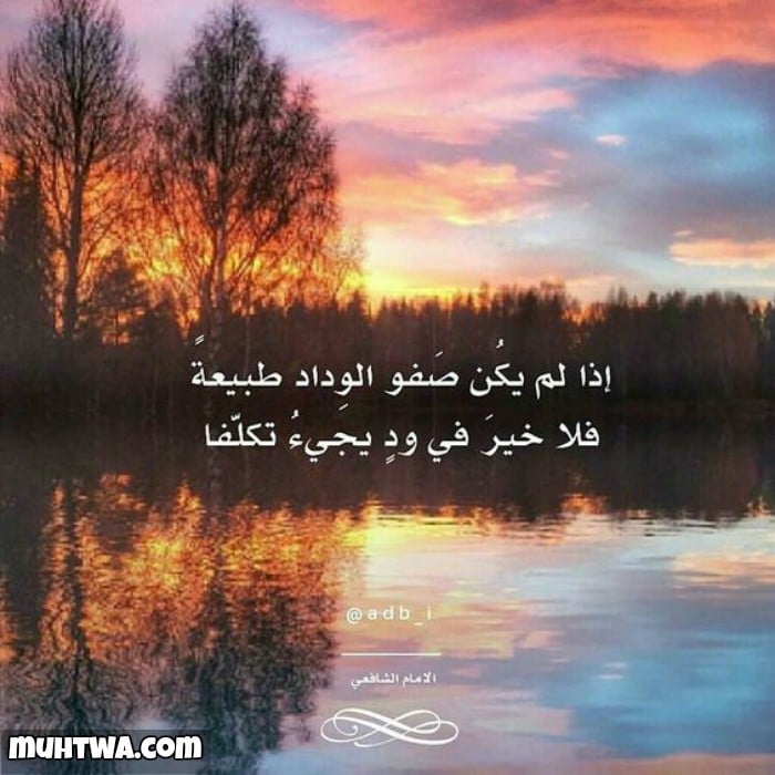 حكم الإمام الشافعي