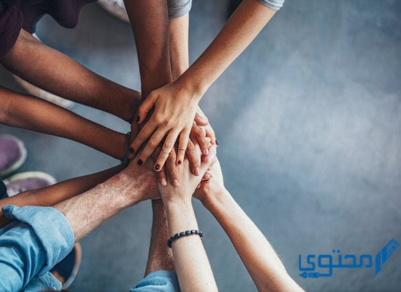 صور عن التعاون