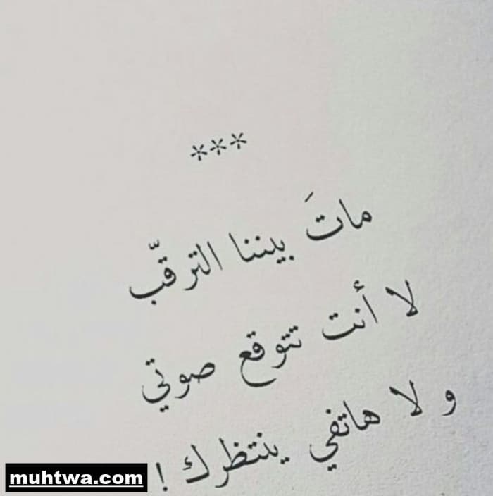 صور عن الغياب