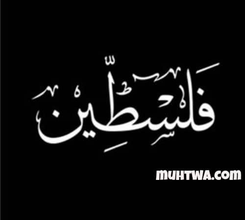 أقوال عن فلسطين