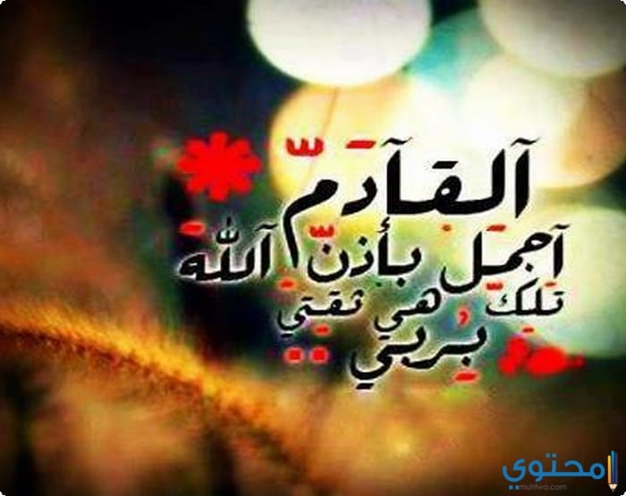 صور مكتوب عليها كلام حكم