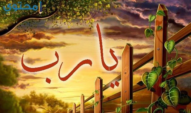 صور يارب جديدة