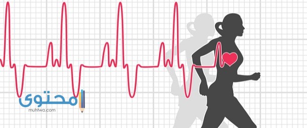 معدل ضربات القلب الطبيعية