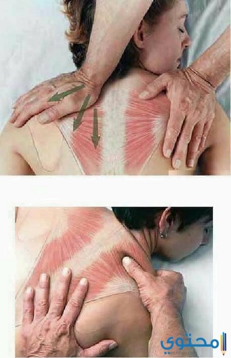 طرق المساج الصحيحة