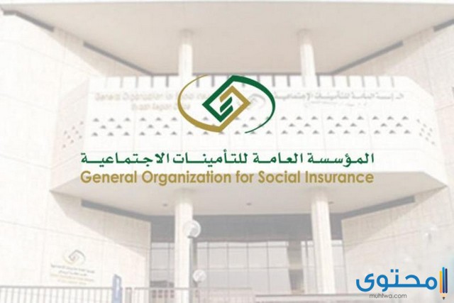 توزيع معاش المتوفي في مصر