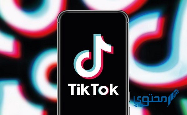 أسماء حسابات تيك توك فخمة tiktok name 2025