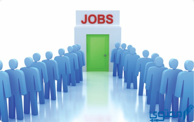 عالم العمل في المملكة