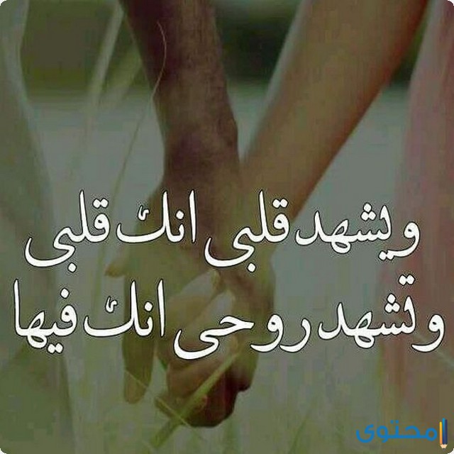 عبارات تكتب على الصور