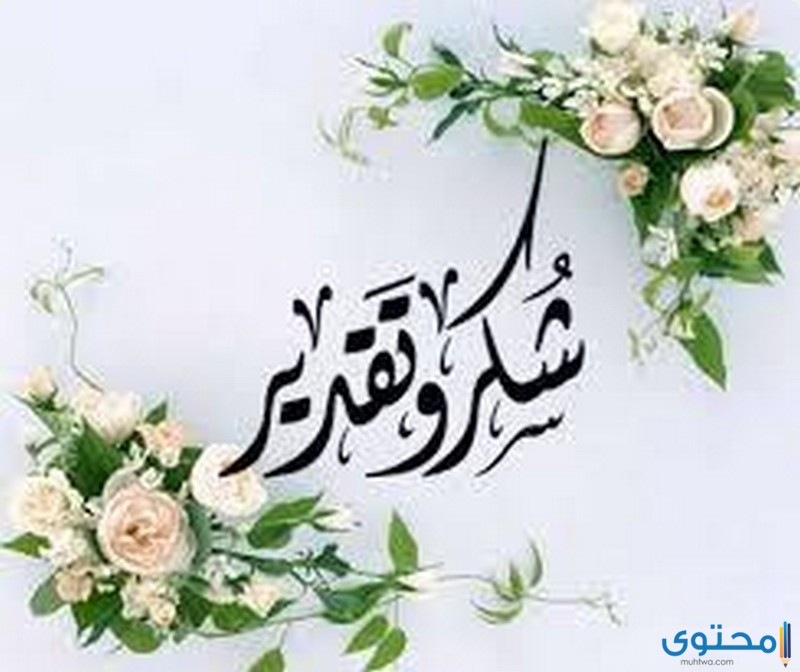 عبارات شكر وتقدير للأصدقاء