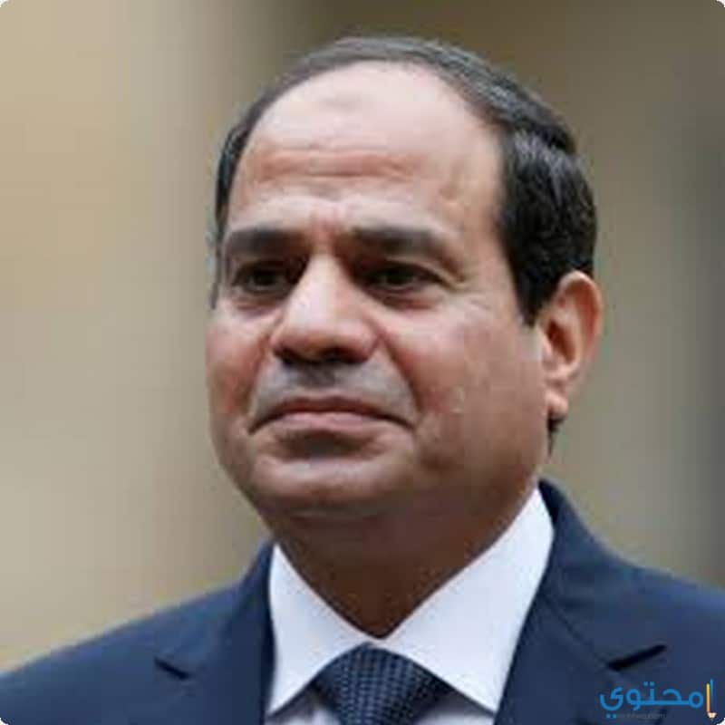 صور الرئيس عبد الفتاح السيسي