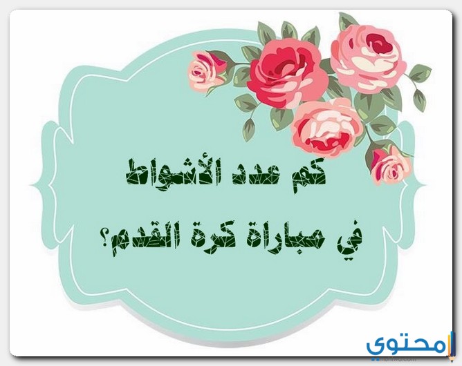 عدد الأشواط في مباراة كرة القدم