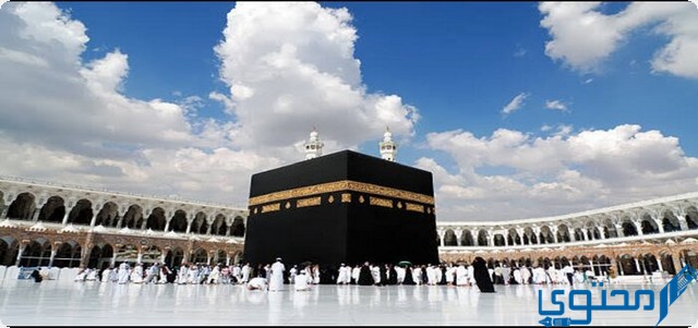 عدد انواع النسك