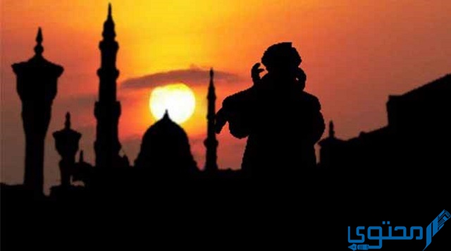 عدد ركعات صلاة ليلة القدر