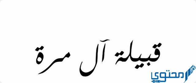 عدد قبيلة آل مرة في قطر