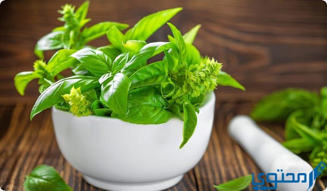 علاج التهاب المرارة بالاعشاب