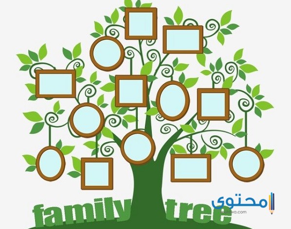 الرومي وش يرجعون