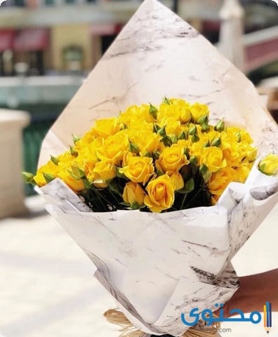 صور عيد الحب